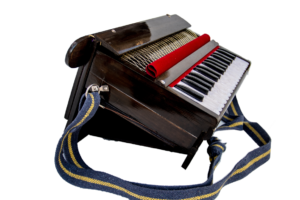 Harinam Harmonium 2 copy