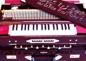 Premium-Harmonium-Scale-Changer-4-set-reeds