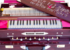 Premium Harmonium Scale Changer 4 set reeds copy