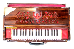 Premium Scale Changer 3 set reeds 2 copy